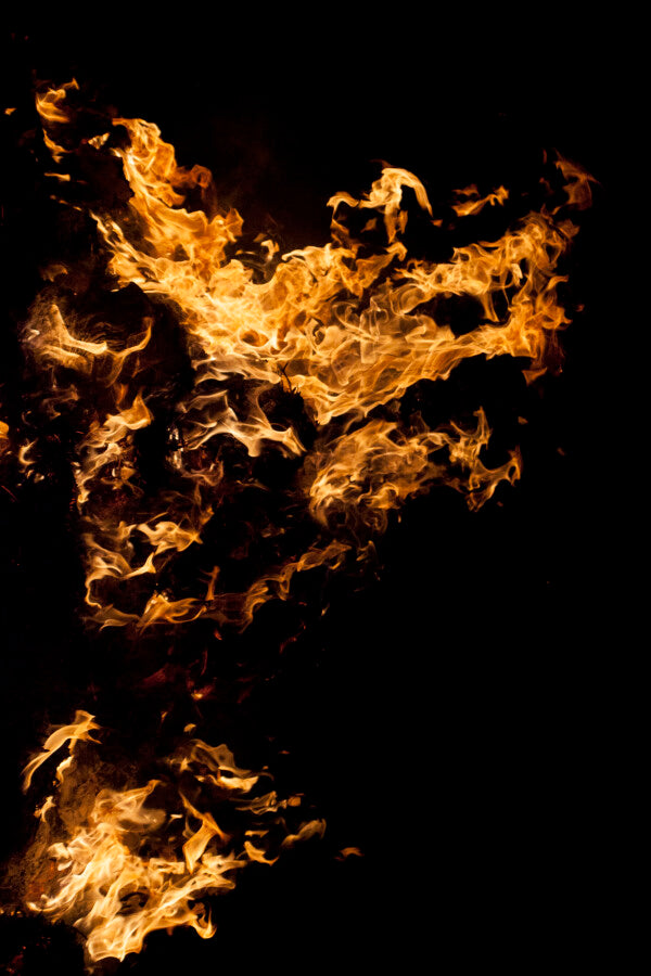 Fire on black FI-00004 CANVAS Leonardo Ferri Photography Shop