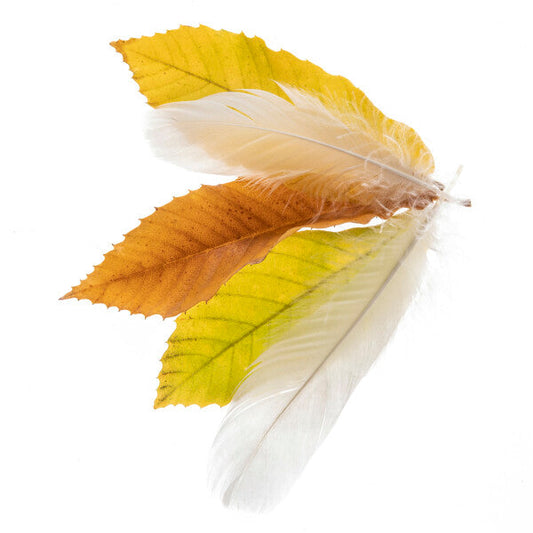 Yellow leaves & white feathers BL-00002 PANEL Leonardo Ferri Photography Shop